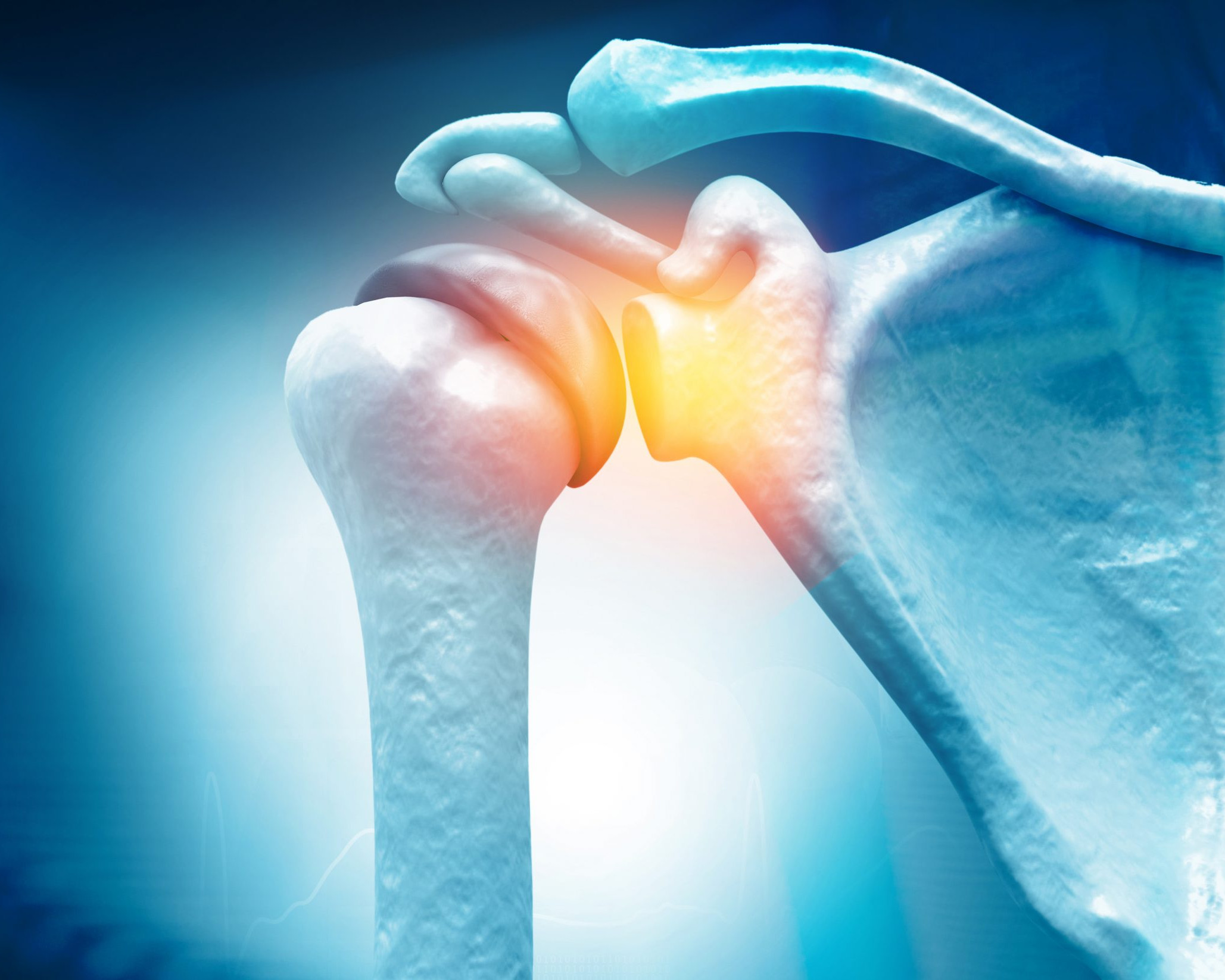 Anatomy of Shoulder , rotator cuff tear, Shoulder pain 3 Shoulder skeleton image